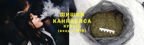 дмт Верея
